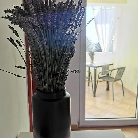Rhopal Διαμέρισμα *